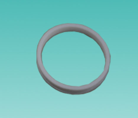 52*4,6 mm Teflon afdichting ring Axial Labyrinth Seal Corrosieweerstand